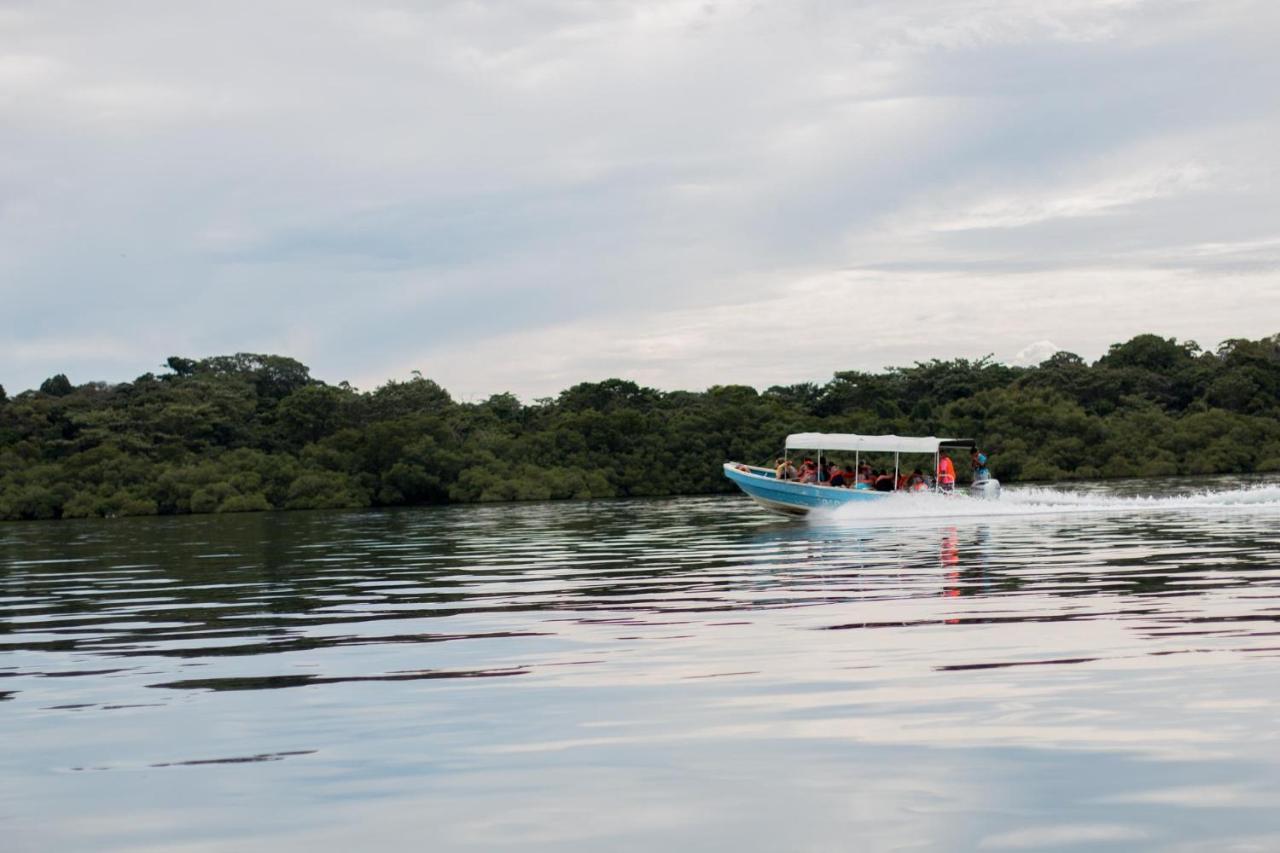 Playa Tortuga Hotel And Beach Resort Bocas del Toro Exterior photo